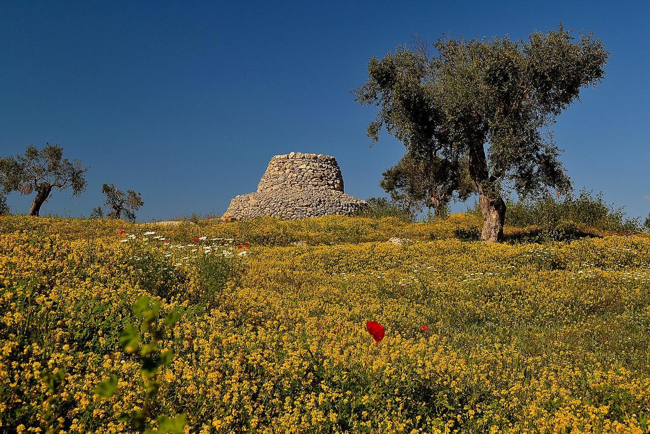 Meraviglie Del Salento Porto Cesareo Kültér fotó